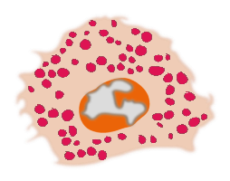 histamine